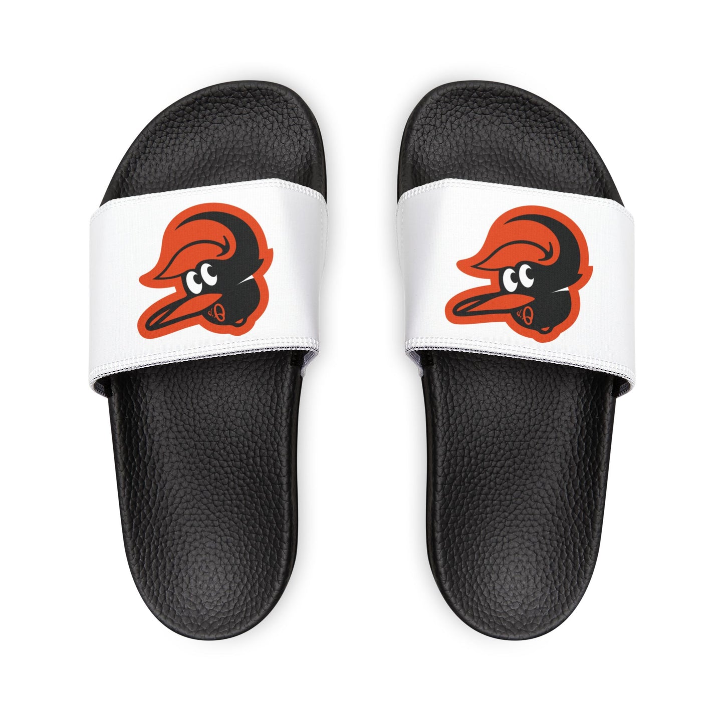 Baltimore Orioles Bird Slides