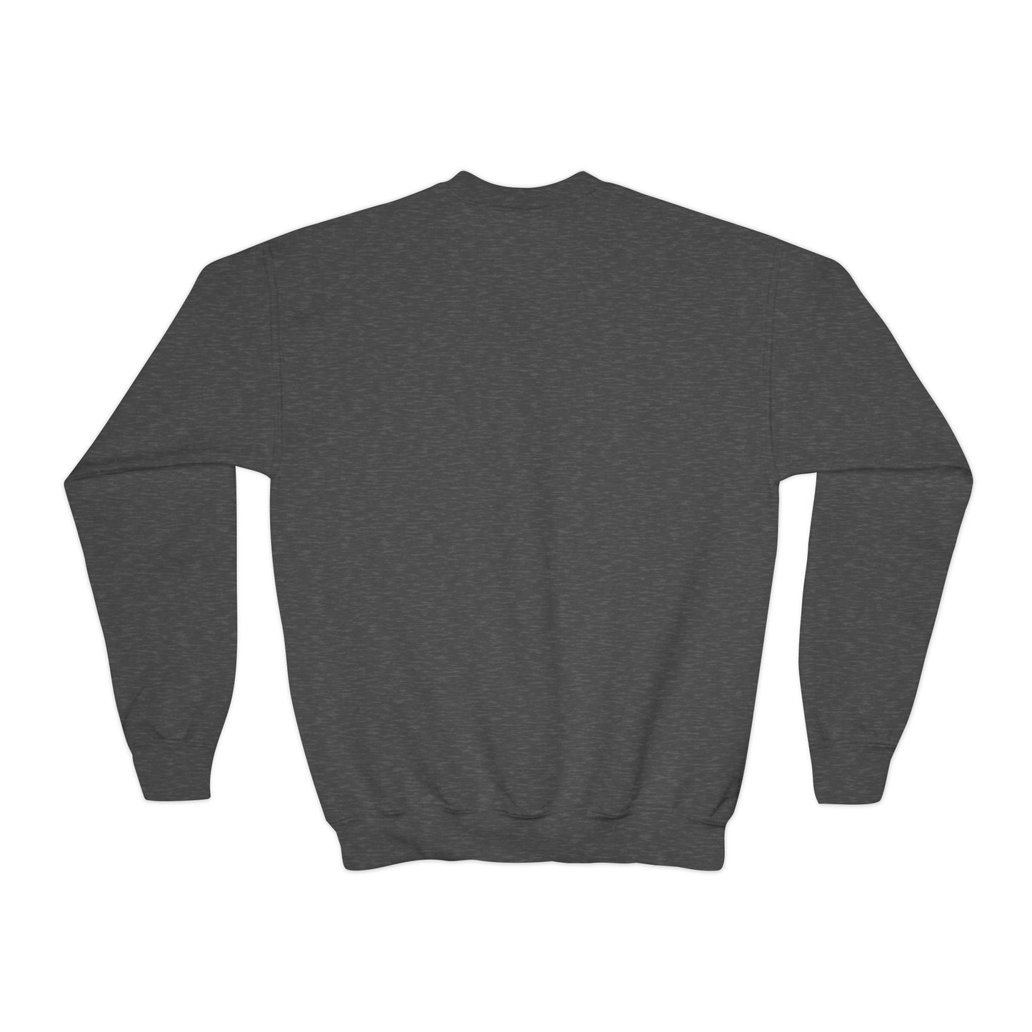 Detroit Pistons Youth Sweatshirt