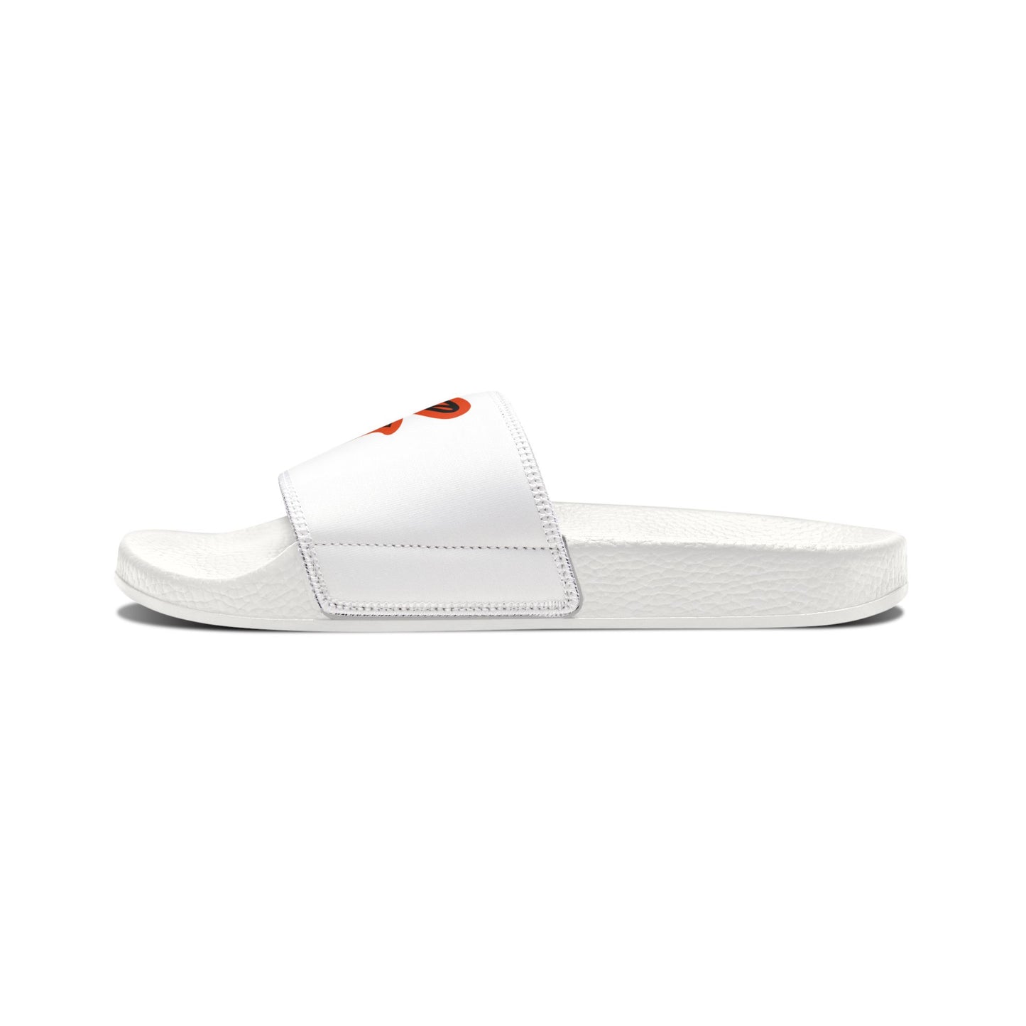 Baltimore Orioles Bird Slides