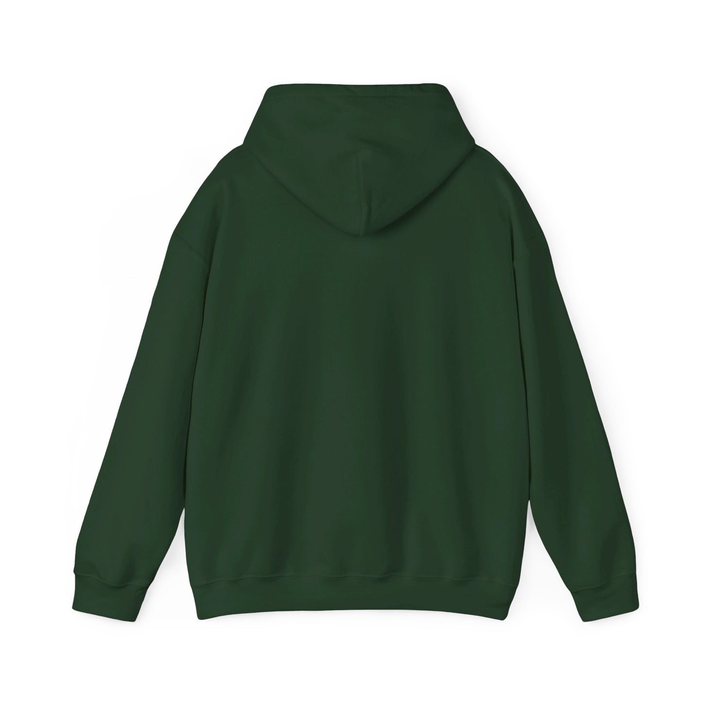Formula 1 Pullover Hoodie