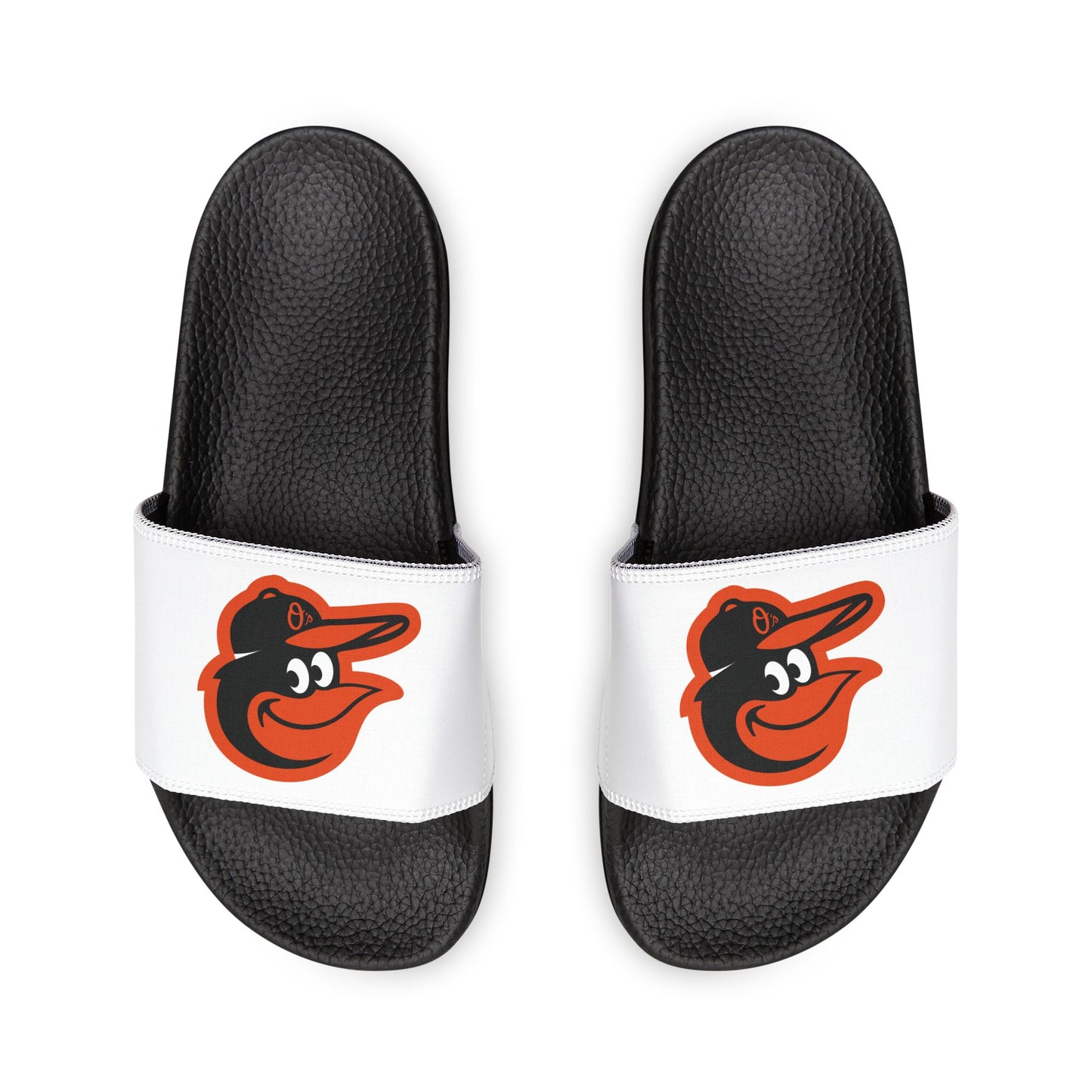 Baltimore Orioles Bird Slides