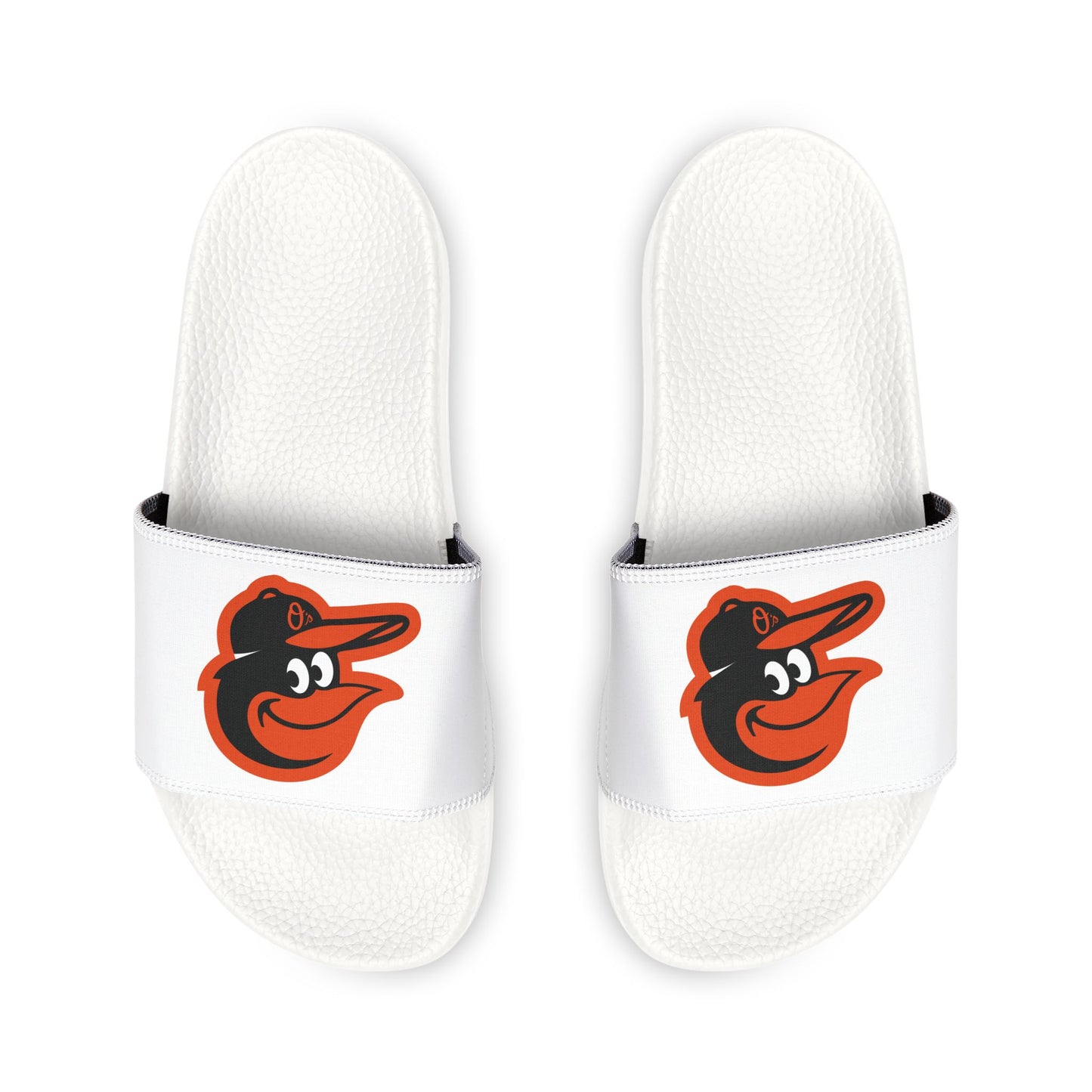 Baltimore Orioles Bird Slides