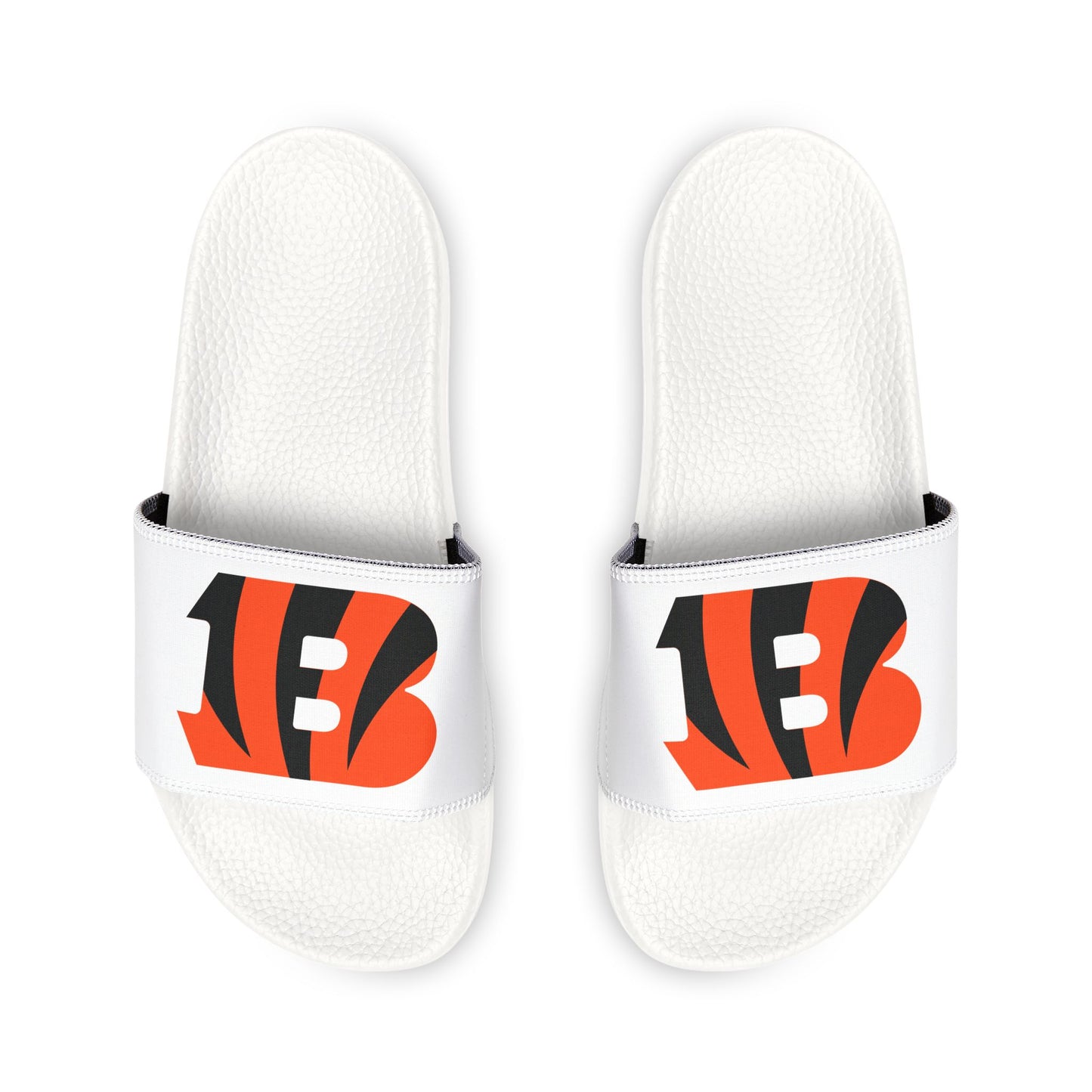 Cincinnati Bengals Slides