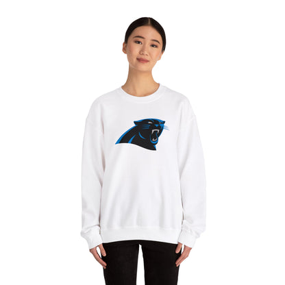 Carolina Panthers Sweatshirt