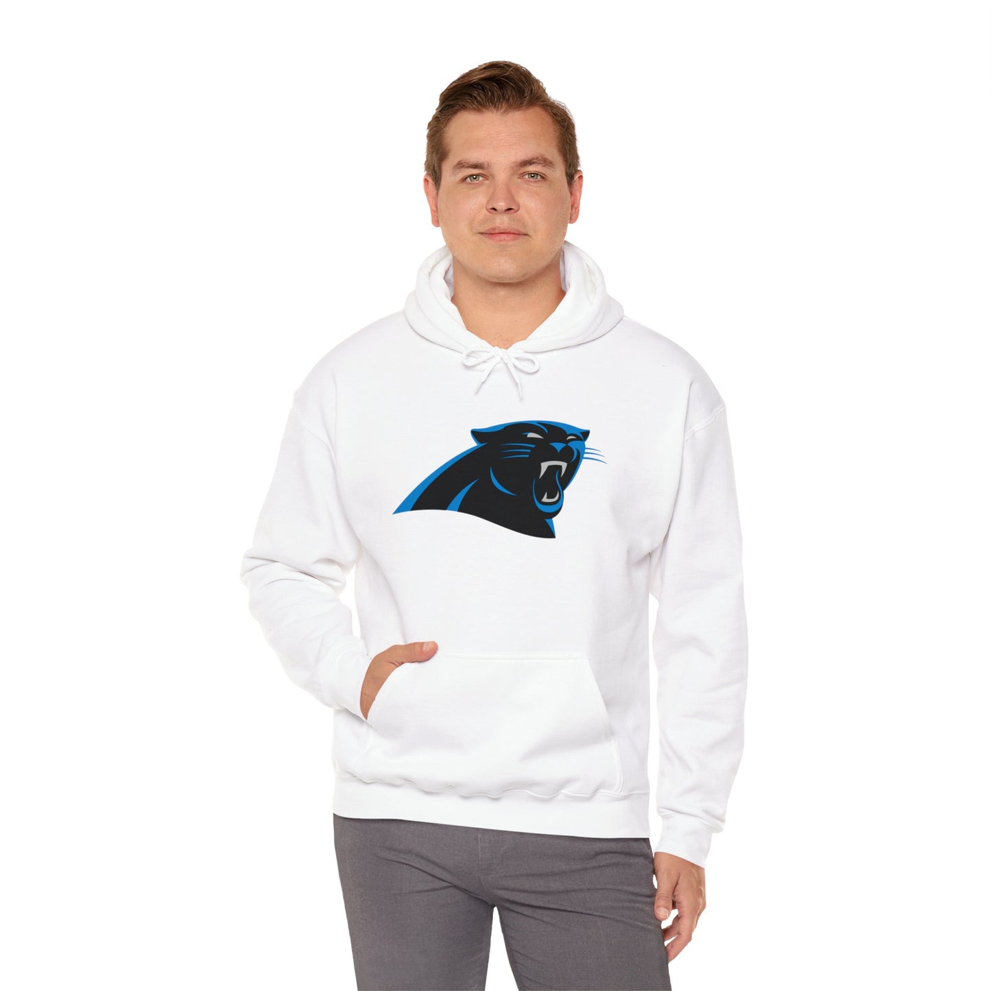 Carolina Panthers Pullover Hoodie