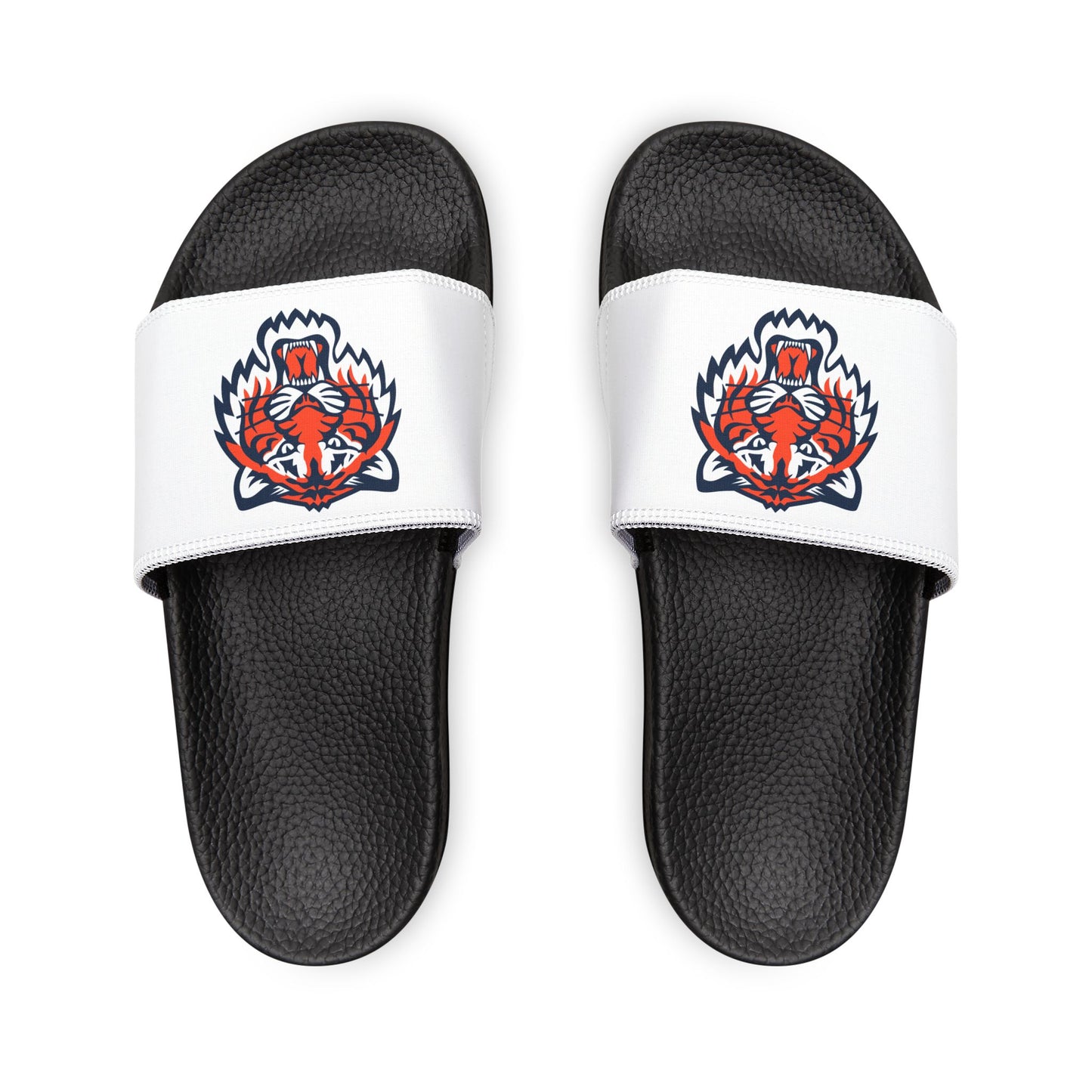 Detroit Tigers Tiger Slides