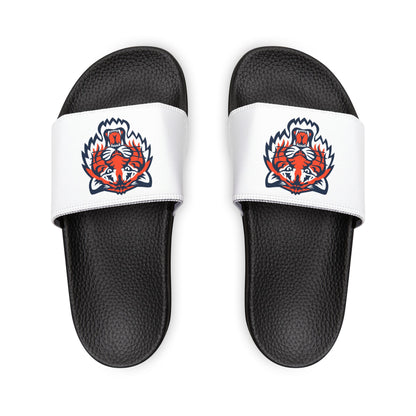 Detroit Tigers Tiger Slides