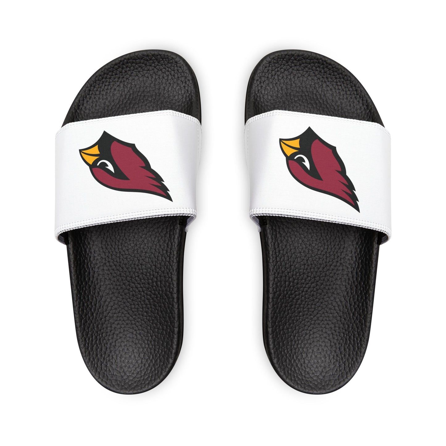 Arizona Cardinals Slides