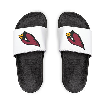 Arizona Cardinals Slides