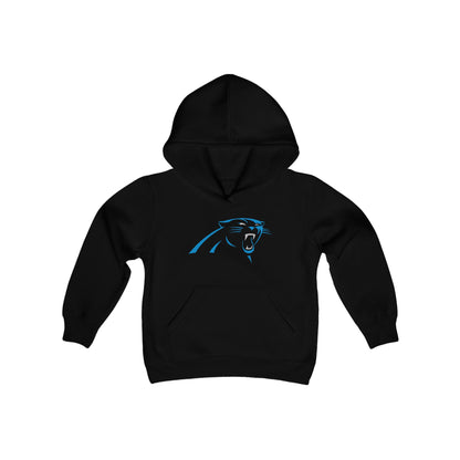 Carolina Panthers Youth Hoodie