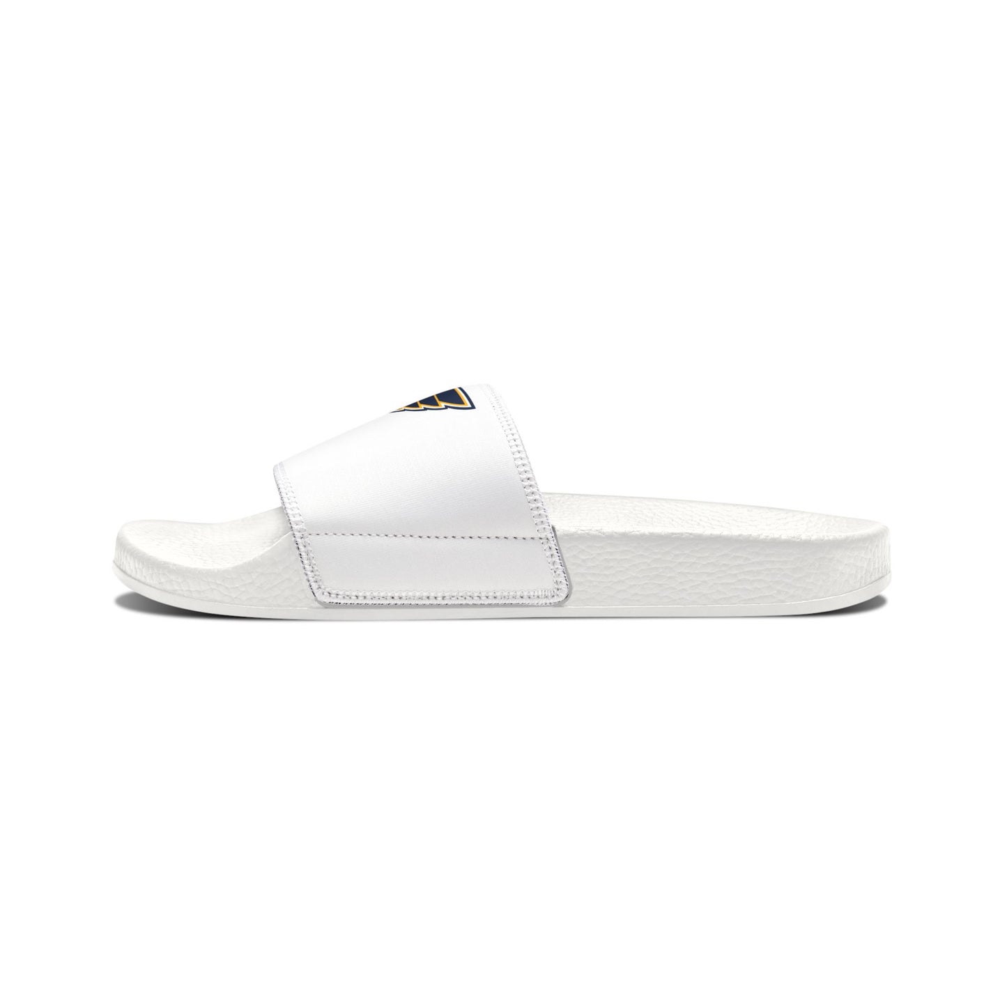St. Louis Blues Slides