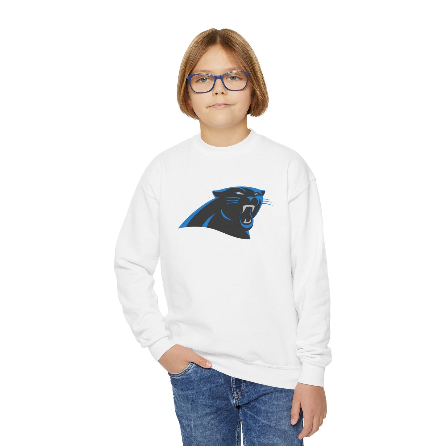 Carolina Panthers Youth Sweatshirt