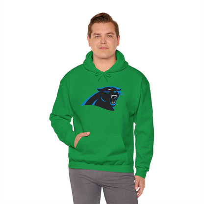 Carolina Panthers Pullover Hoodie