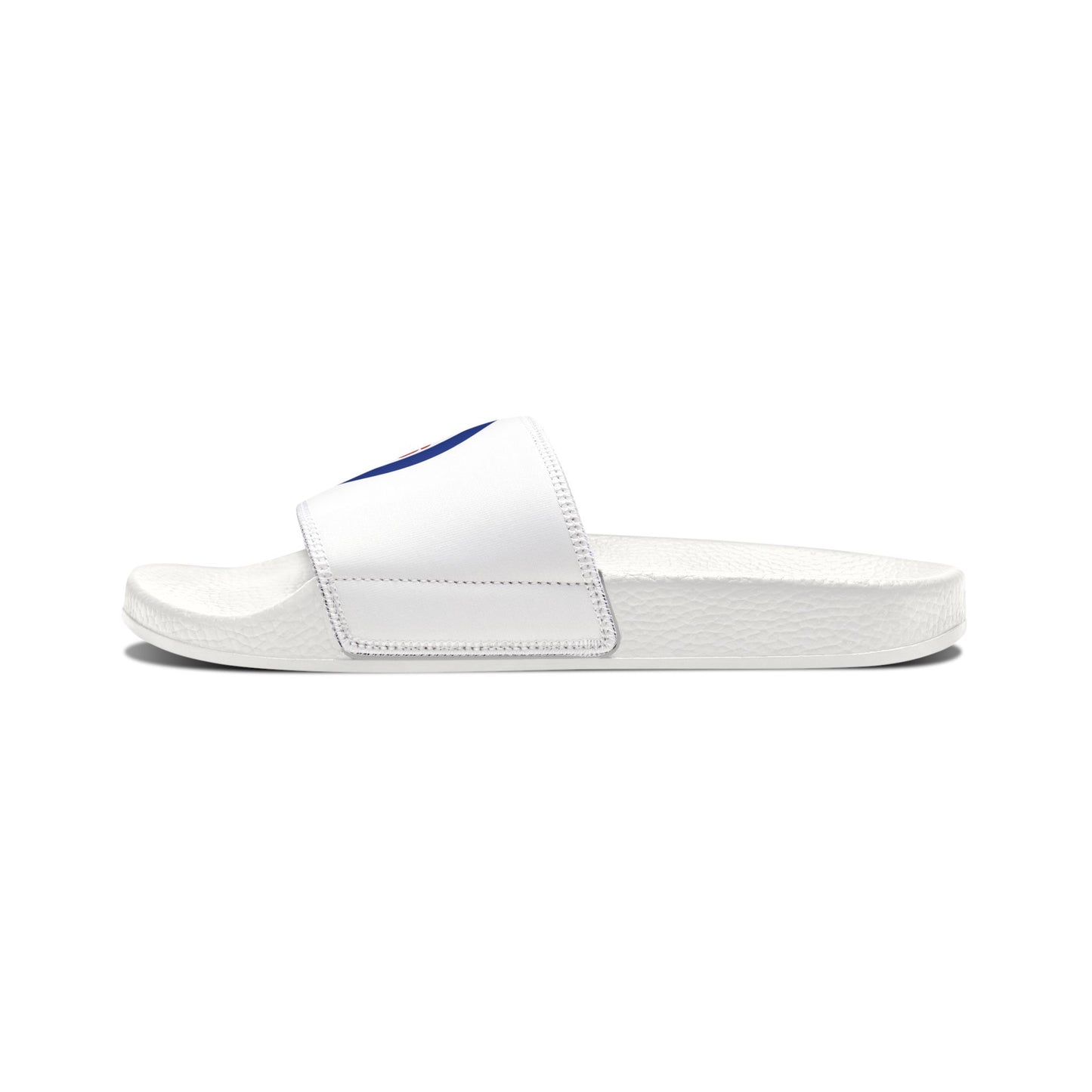 Chicago Cubs Slides