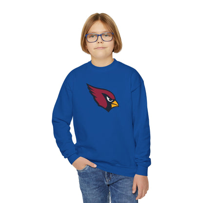 Arizona Cardinals Youth Sweatshirt