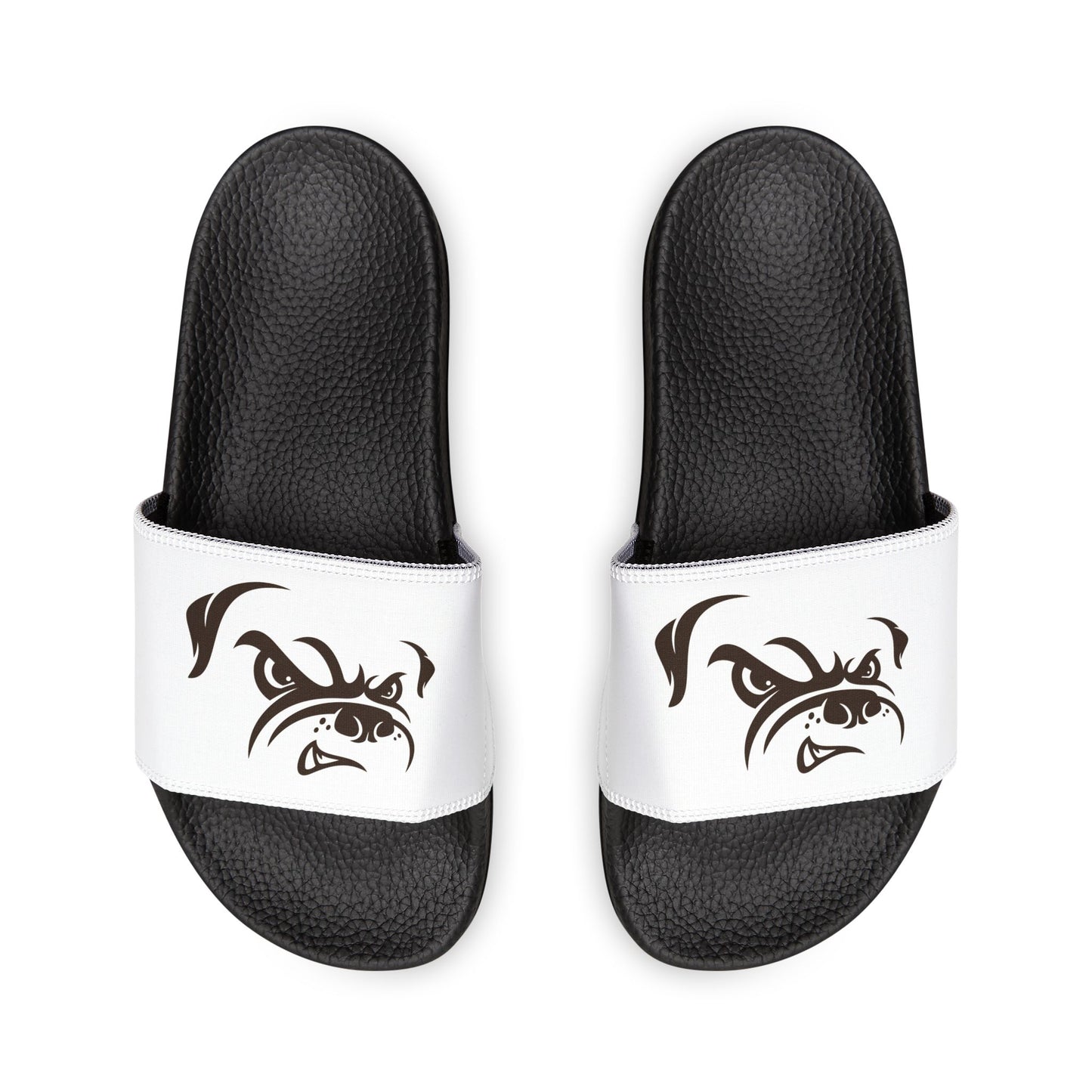Cleveland Browns Dawg Pound Slides