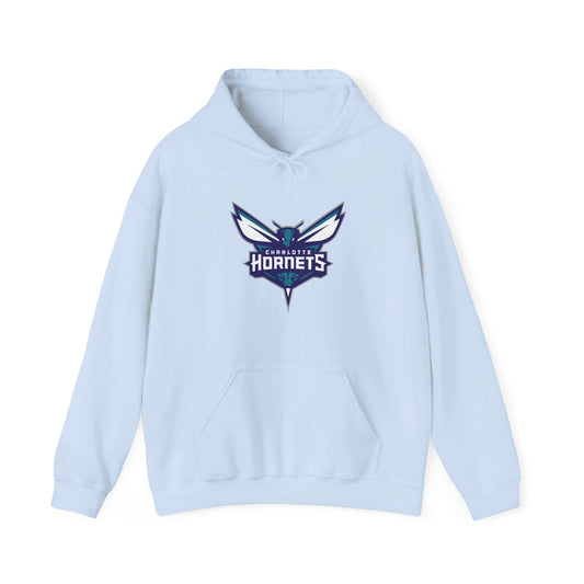 Charlotte Hornets Pullover Hoodie