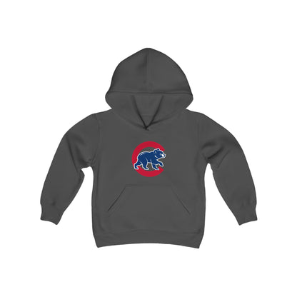 Chicago Cubs Bear Youth Hoodie