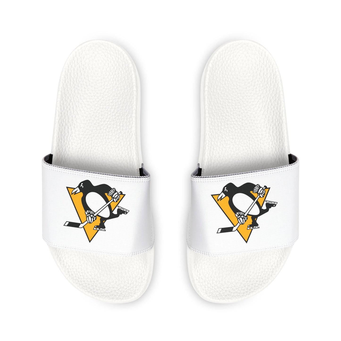 Pittsburgh Penguins Slides