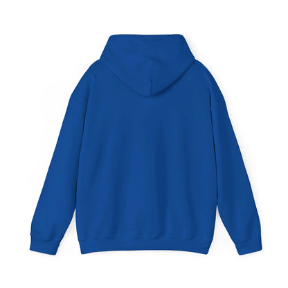 Detroit Lions Pullover Hoodie