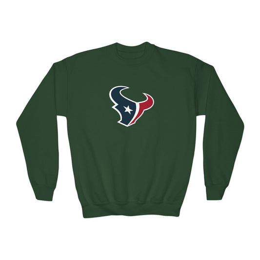 Houston Texans Youth Sweatshirt