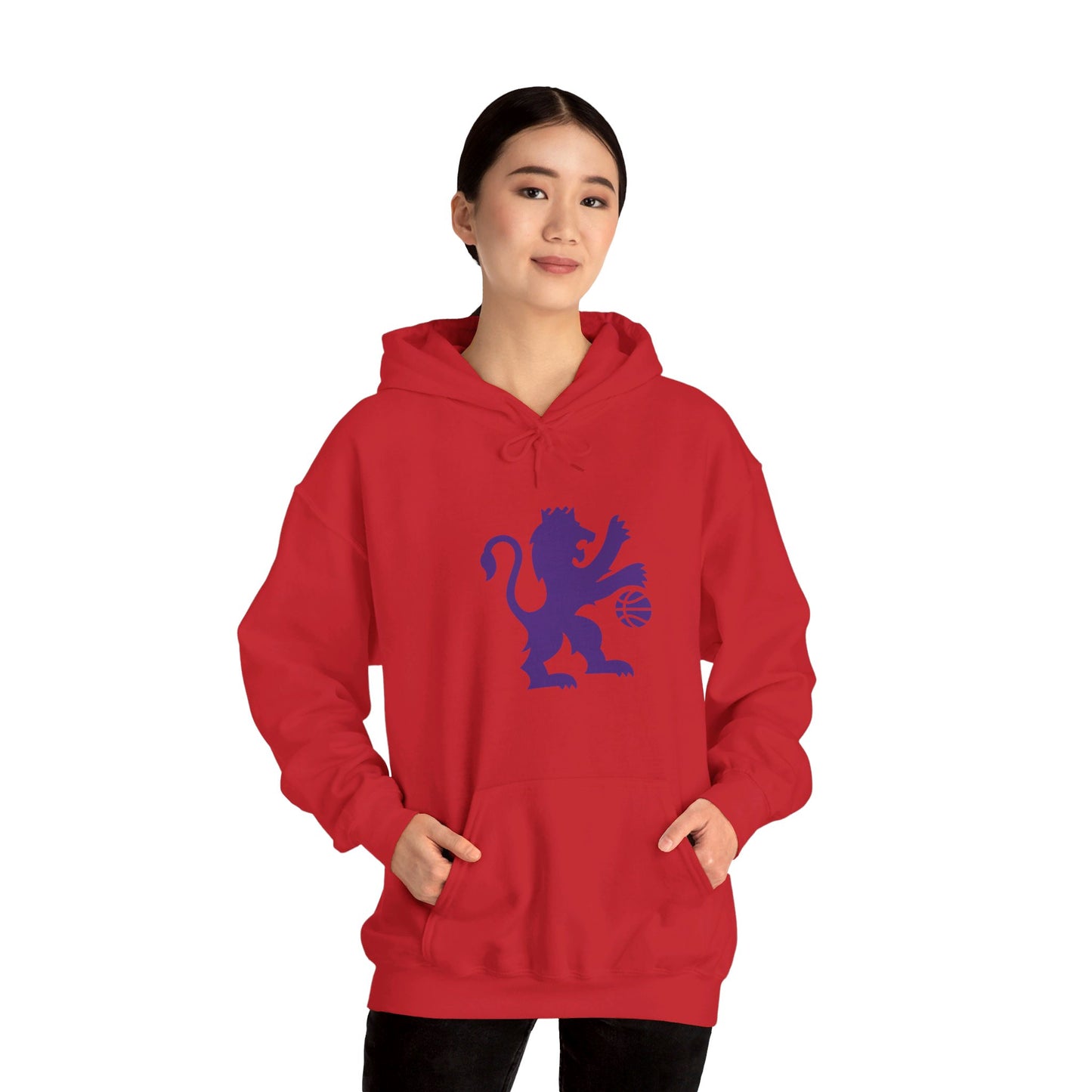 Sacramento Kings Lion Pullover Hoodie