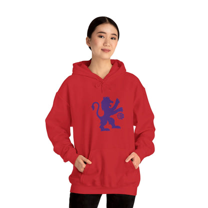 Sacramento Kings Lion Pullover Hoodie