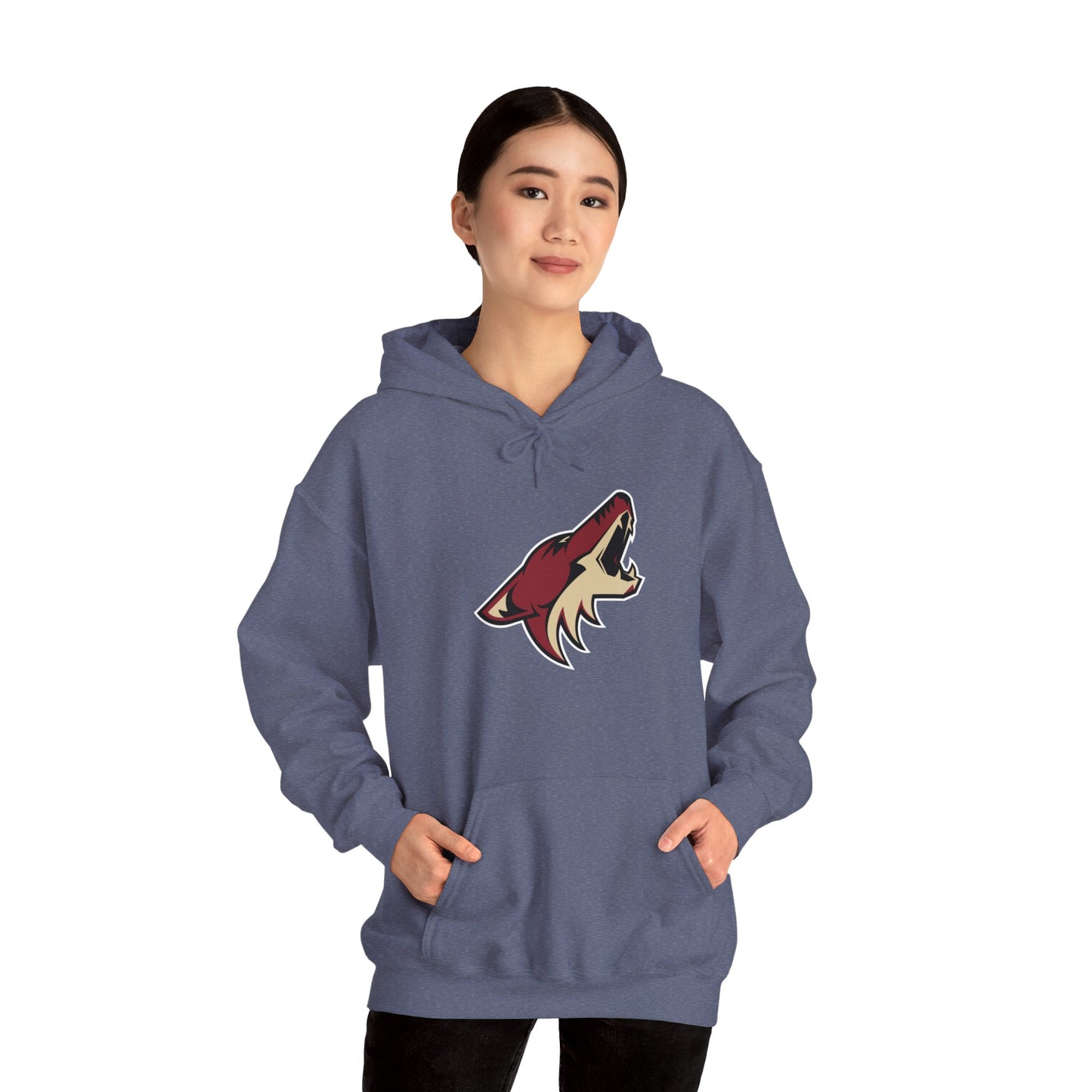 Arizona Coyotes Pullover Hoodie