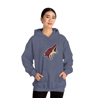 Arizona Coyotes Pullover Hoodie