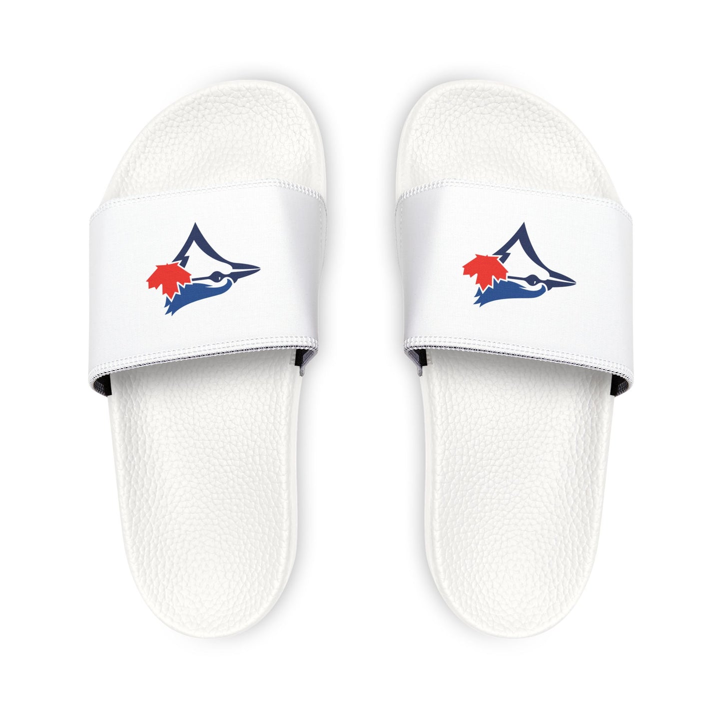 Toronto Blue Jays Bird Slides