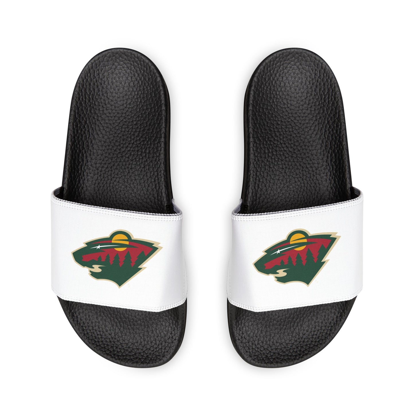 Minnesota Wild Slides