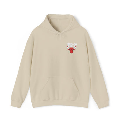 Chicago Bulls Embroidered Hoodie