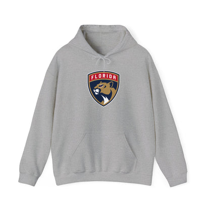 Florida Panthers Pullover Hoodie