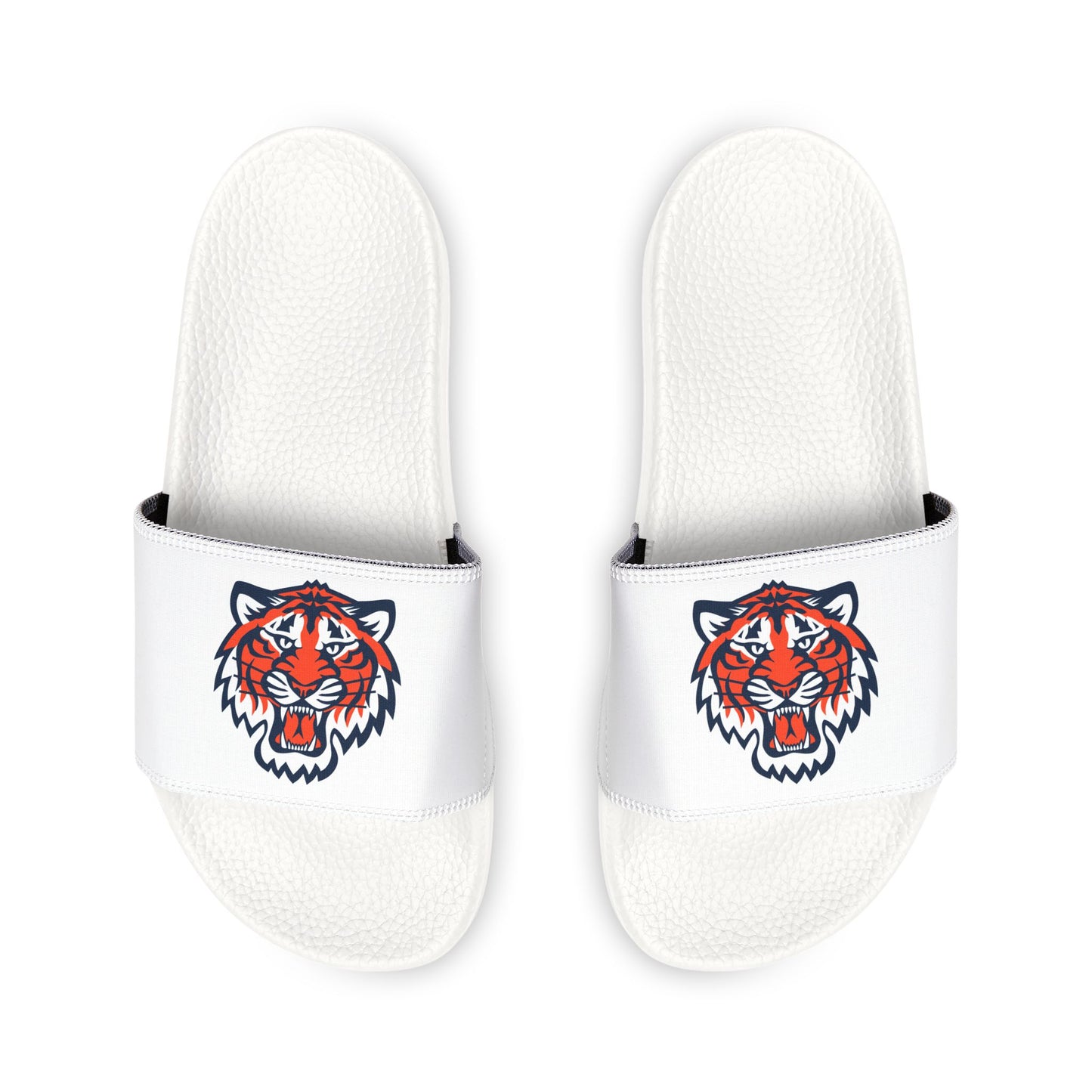Detroit Tigers Tiger Slides