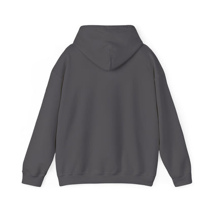 New York Islanders Pullover Hoodie