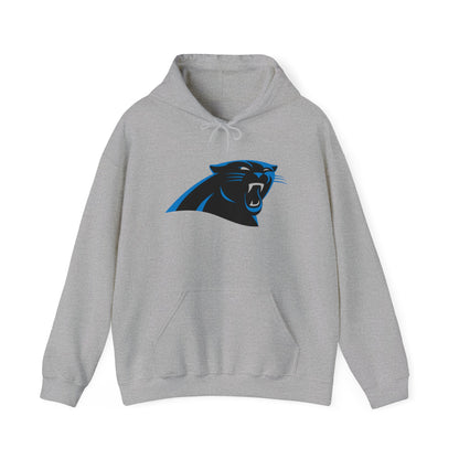 Carolina Panthers Pullover Hoodie