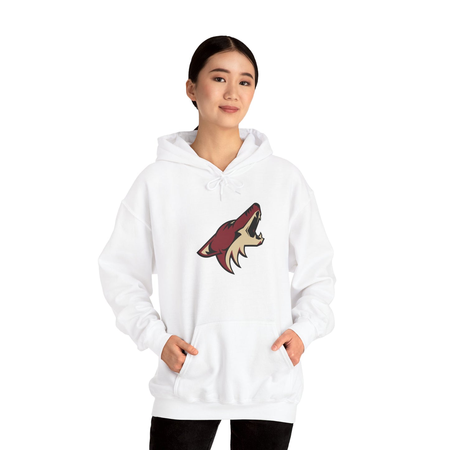 Arizona Coyotes Pullover Hoodie