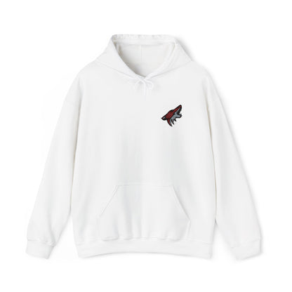 Arizona Coyotes Embroidered Hoodie