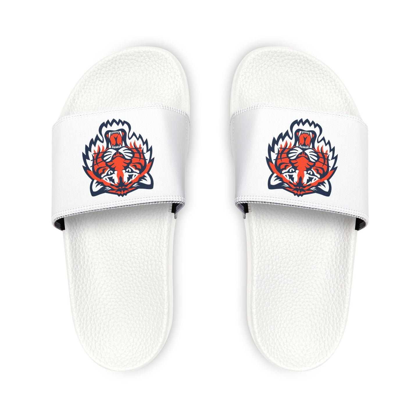 Detroit Tigers Tiger Slides