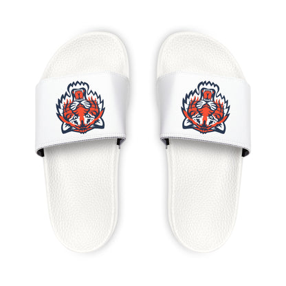 Detroit Tigers Tiger Slides