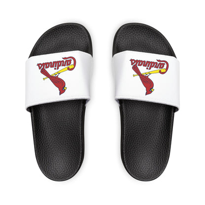 St. Louis Cardinals Slides