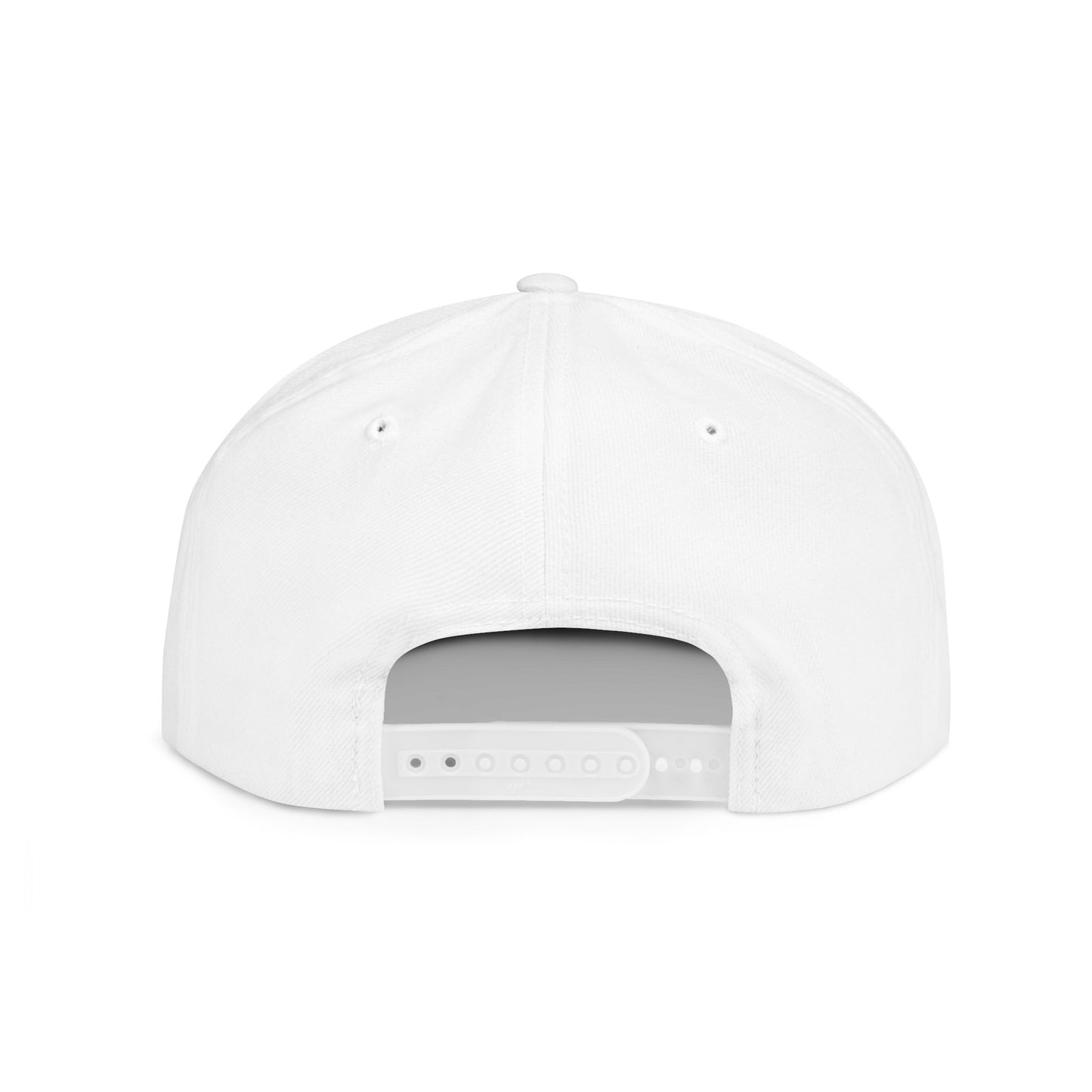 Houston Astros Snapback