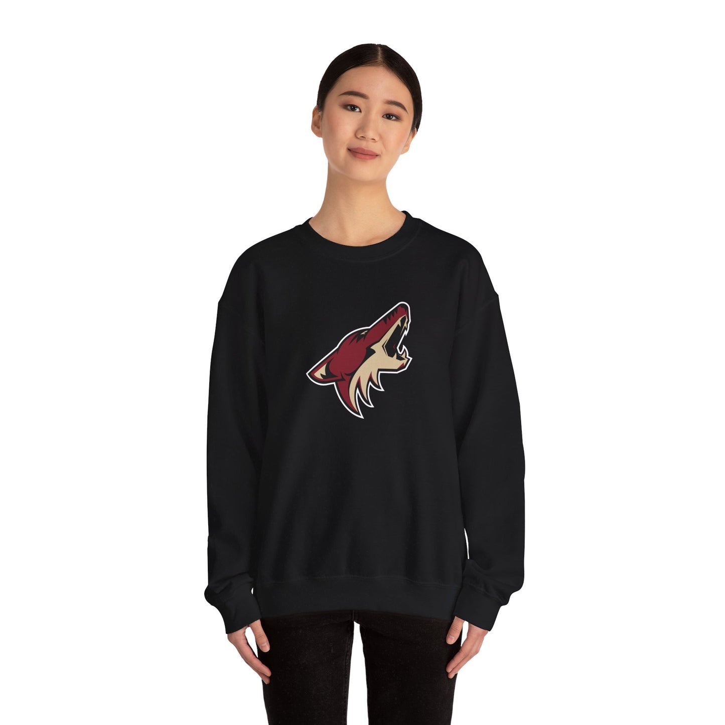 Arizona Coyotes Sweatshirt