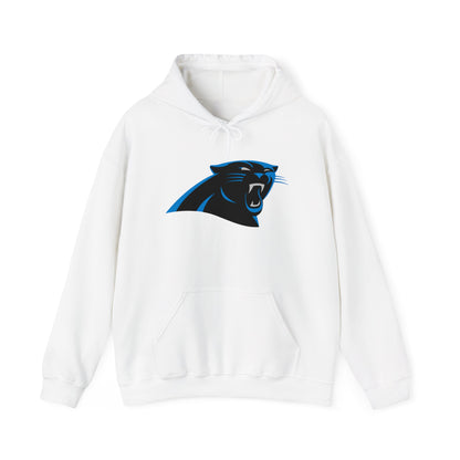 Carolina Panthers Pullover Hoodie