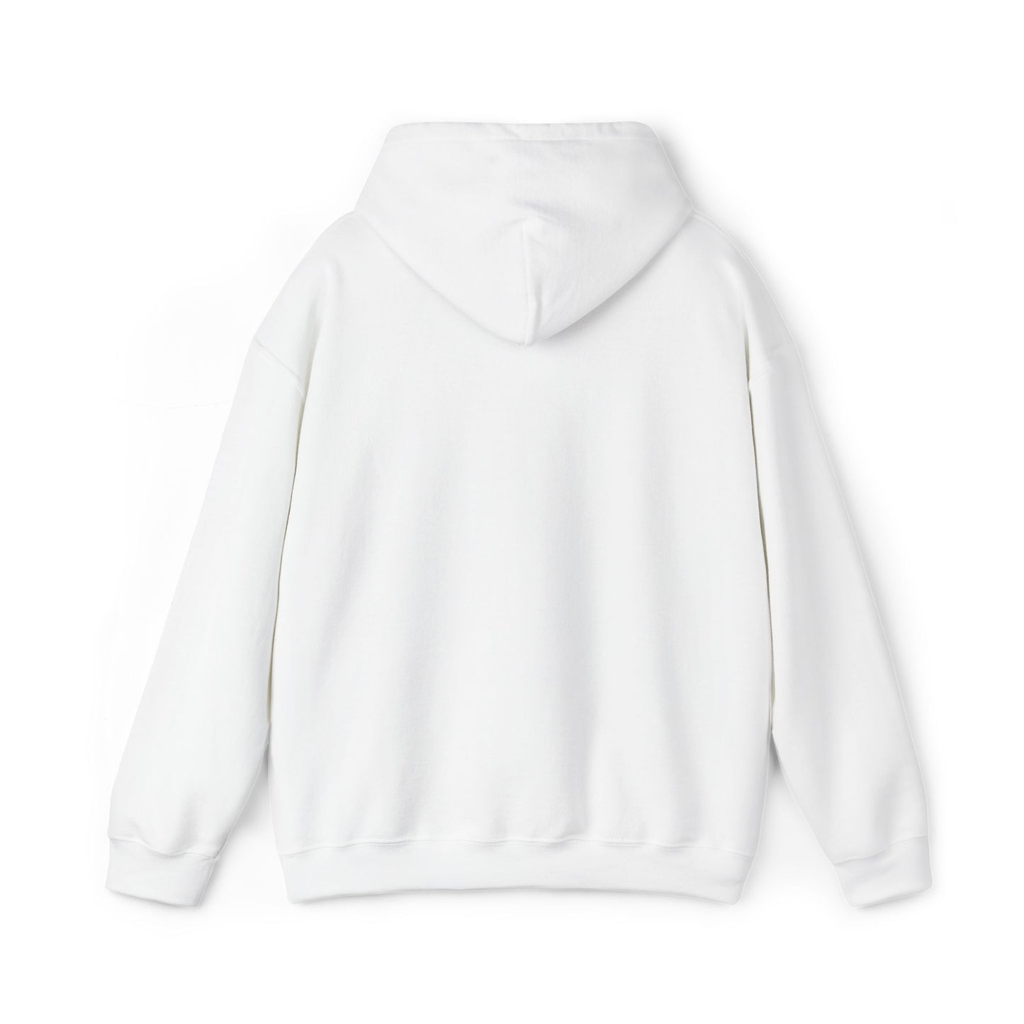 Hot Wheels Racing Embroidered Hoodie