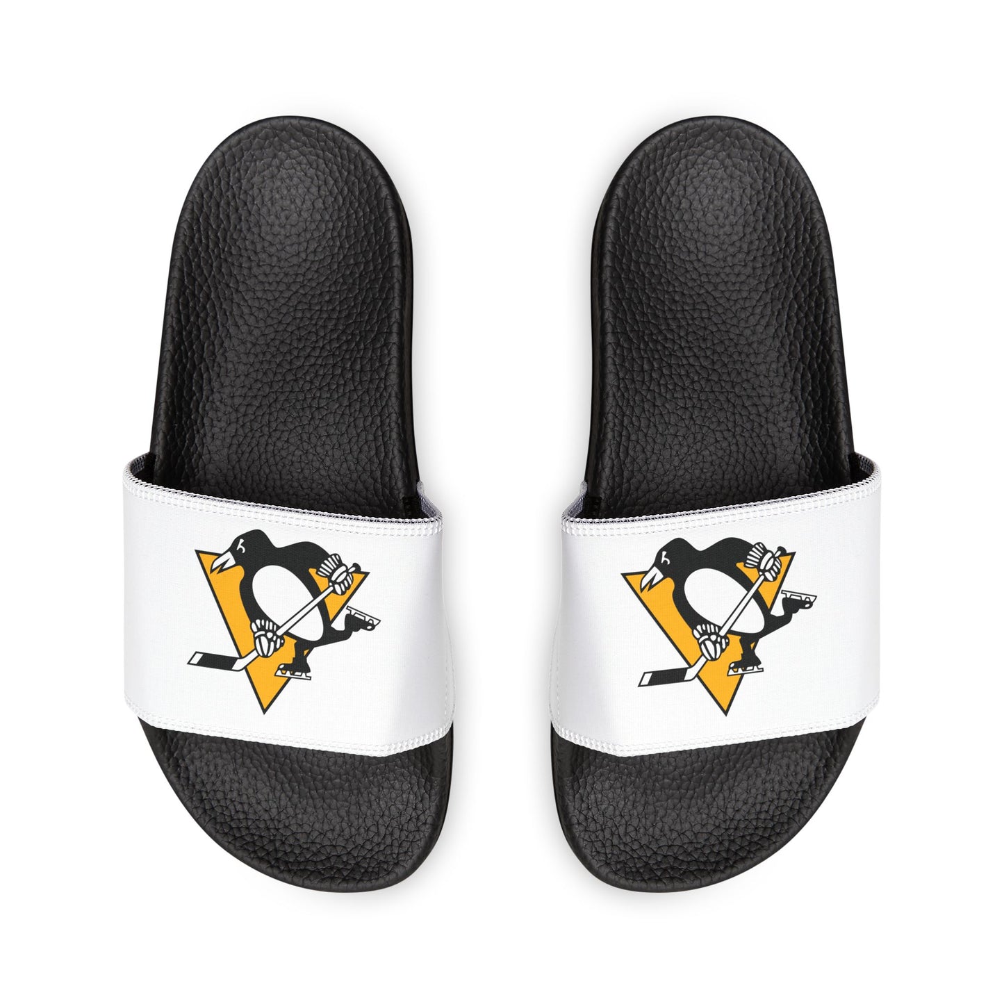 Pittsburgh Penguins Slides