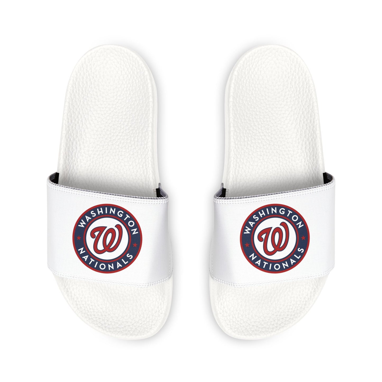 Washington Nationals Slides