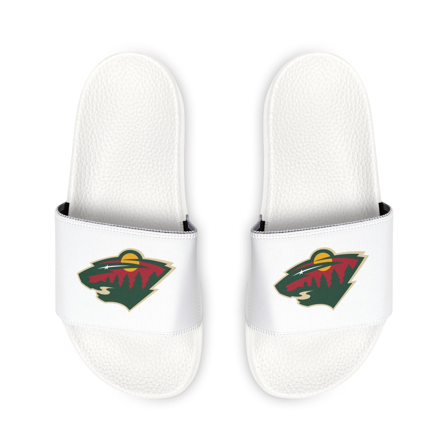 Minnesota Wild Slides