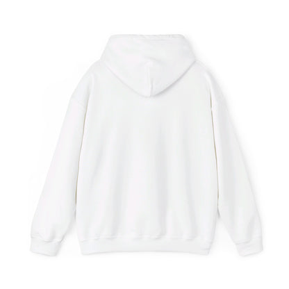 DC United Pullover Hoodie