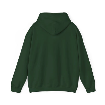 Formula 1 Pullover Hoodie